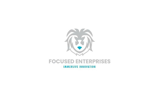 FOCUSED ENTERPRISES  IMMERSIVE INNOVATION logo