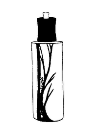 FOLIES DE SAISONS logo