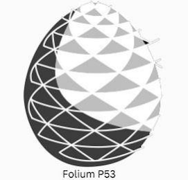 FOLIUM P53 logo
