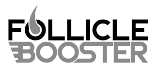FOLLICLE BOOSTER logo