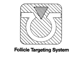 FOLLICLE TARGETING SYSTEM logo