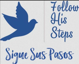 FOLLOW HIS STEPS SIGUE SUS PASOS logo