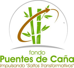 FONDO PUENTES DE CAÑA IMPULSANDO "SALTOS TRANSFORMATIVOS"