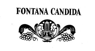 FONTANA CANDIDA logo