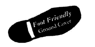 FOOT FRIENDLY GROUND COVER