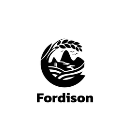 FORDISON logo