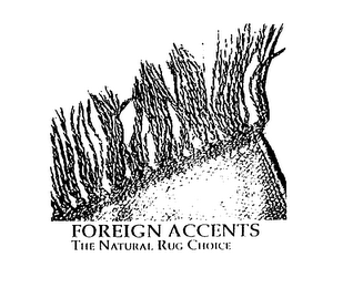FOREIGN ACCENTS THE NATURAL RUG CHOICE logo