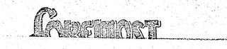 FOREMOST logo