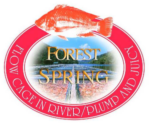 FOREST SPRING FLOW CAGE IN RIVER/PLUMP AND JUICY logo