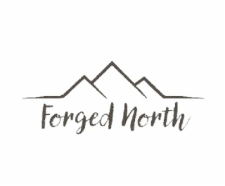 FORGED NORTH logo