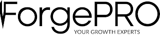 FORGEPRO YOUR GROWTH EXPERTS logo