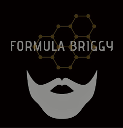 FORMULA BRIGGY logo