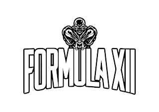 FORMULA XII logo