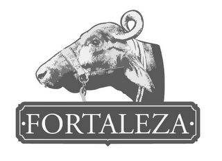·FORTALEZA· logo