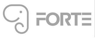 FORTE logo