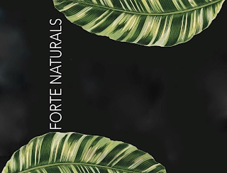 FORTE NATURALS logo