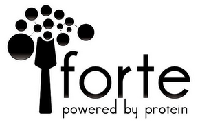 FORTE POWERED BY PROTEIN logo