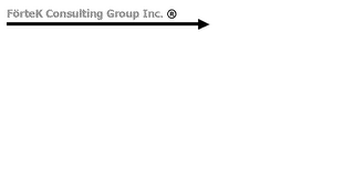 FORTEK CONSULTING GROUP INC. logo