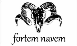 FORTEM NAVEM logo