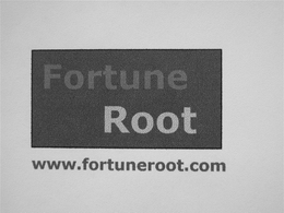 FORTUNE ROOT WWW.FORTUNEROOT.COM logo
