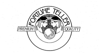 FORTUNE TELLER PREMIUM QUALITY logo