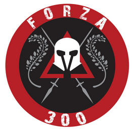 FORZA  300 logo