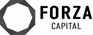 FORZA CAPITAL logo