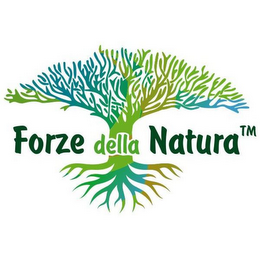 FORZE DELLA NATURA logo