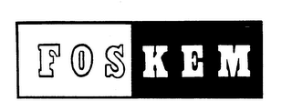 FOSKEM logo