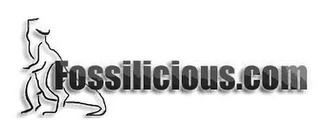 FOSSILICIOUS.COM logo