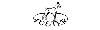 FOSTER logo