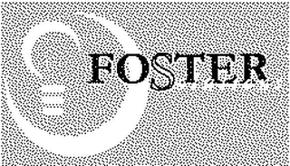 FOSTER SOLUTIONS logo