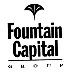 FOUNTAIN CAPITAL GROUP logo