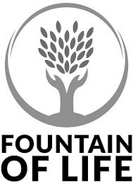 FOUNTAIN OF LIFE logo