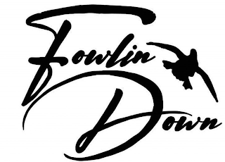 FOWLIN DOWN logo