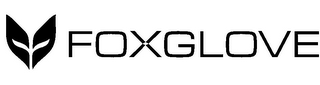 FOXGLOVE logo
