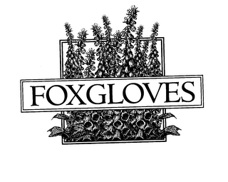 FOXGLOVES logo