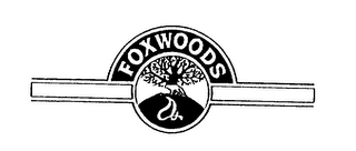 FOXWOODS logo