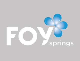 FOY SPRINGS logo