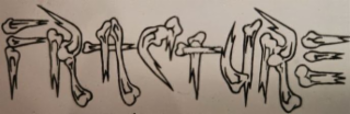FRACTURE logo
