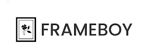 FRAMEBOY logo
