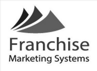 FRANCHISE MARKETING SYSTEMS logo