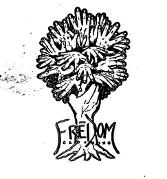 FREDOM logo