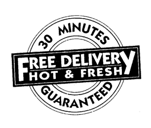 FREE DELIVERY HOT & FRESH 30 MINUTES GUARANTEED logo
