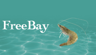 FREEBAY logo