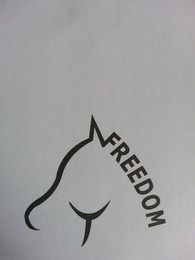 FREEDOM logo