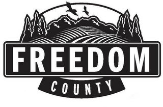FREEDOM COUNTY logo