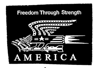 FREEDOM THROUGH STRENGTH AMERICA logo