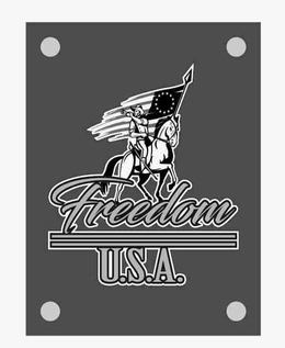 FREEDOM U.S.A. logo