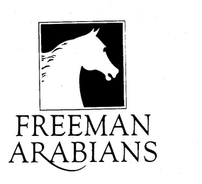 FREEMAN ARABIANS logo